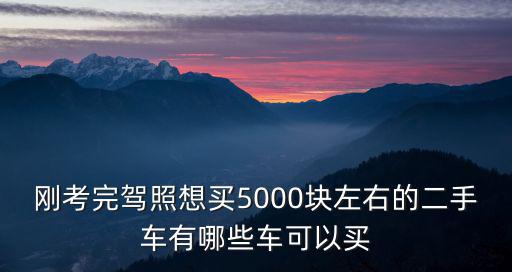 剛考完駕照想買5000塊左右的二手車有哪些車可以買