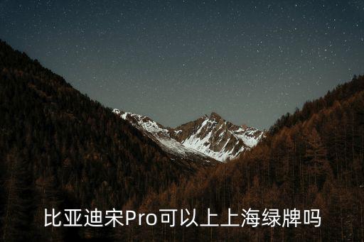 比亞迪宋Pro可以上上海綠牌嗎