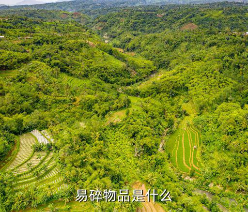 易碎物品是什么
