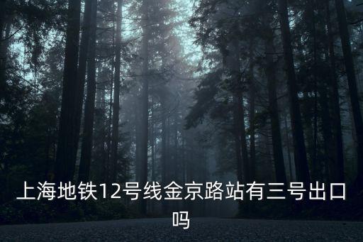 上海地鐵12號線金京路站有三號出口嗎