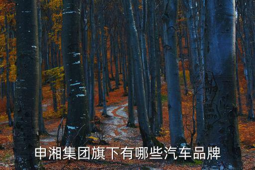 申湘集團(tuán)旗下有哪些汽車品牌