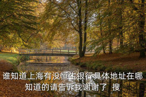 上海恒生銀行，恒生銀行上海總部中臺工作有什么前景