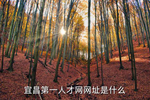 宜昌第一人才網網址是什么