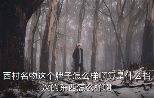 西村名物，西村名物和百麗哪個(gè)好