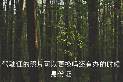 駕駛證的照片可以更換嗎還有辦的時候身份證