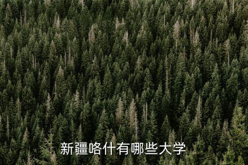 新疆咯什有哪些大學