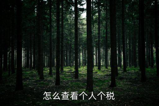 怎么查看個人個稅
