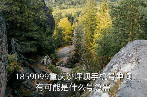 1859099重慶沙坪壩手機號中間有可能是什么號急需