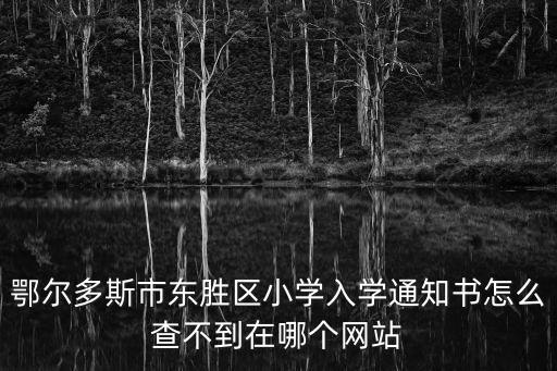 鄂爾多斯市東勝區(qū)小學(xué)入學(xué)通知書怎么查不到在哪個(gè)網(wǎng)站