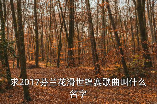 求2017芬蘭花滑世錦賽歌曲叫什么名字
