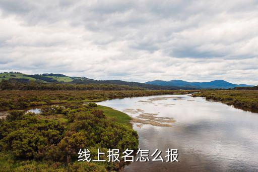 線上報名怎么報