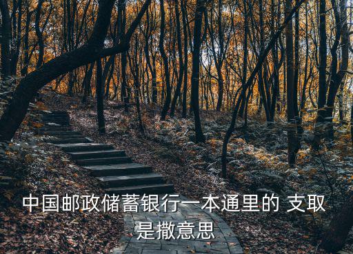 支取，中國郵政儲蓄銀行一本通里的 支取 是撒意思