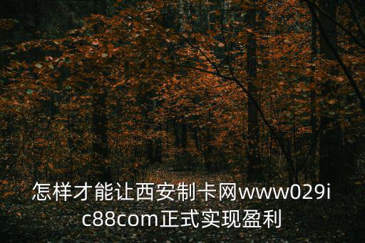 怎樣才能讓西安制卡網(wǎng)www029ic88com正式實現(xiàn)盈利