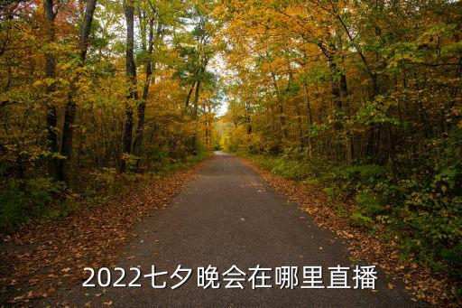 2022七夕晚會在哪里直播