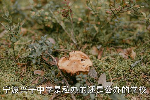 寧波興寧中學(xué)是私辦的還是公辦的學(xué)校