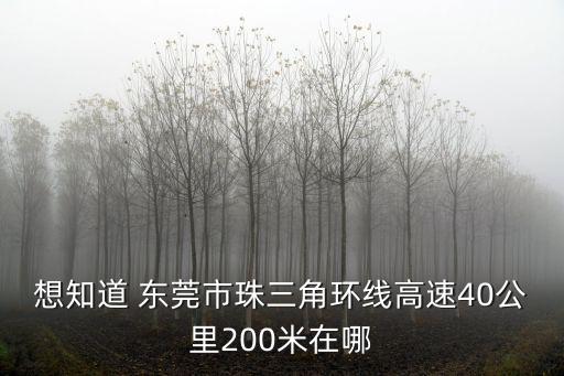 想知道 東莞市珠三角環線高速40公里200米在哪