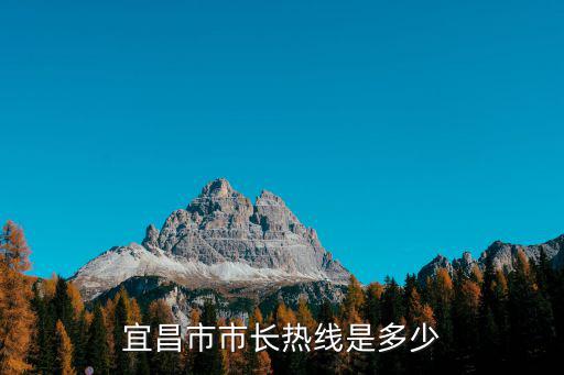 宜昌市市長熱線是多少