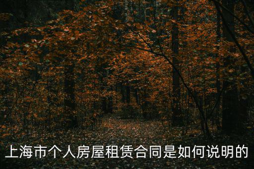 上海市個人房屋租賃合同是如何說明的