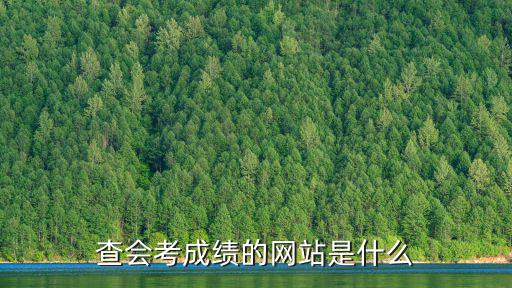 學考成績查詢網站，現在可以查詢學考成績了么怎么查