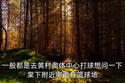 一般都是去黃村奧體中心打球想問一下棠下附近哪里有籃球場