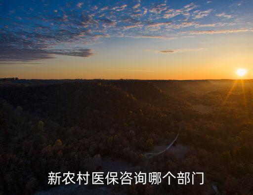 醫(yī)保咨詢，新農(nóng)村醫(yī)保咨詢哪個(gè)部門