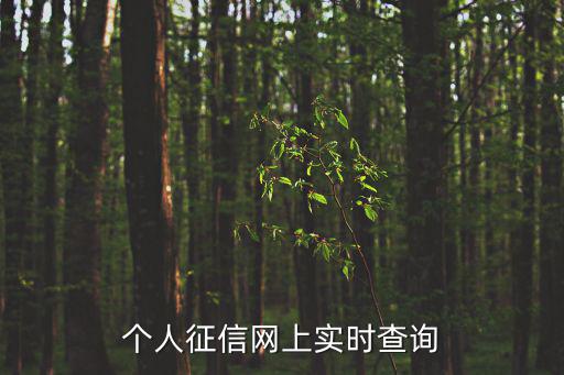 個人征信網上實時查詢