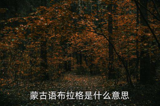 蒙古語布拉格是什么意思