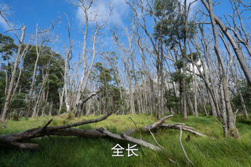 全長，隧道全長指什么