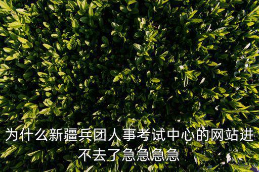 為什么新疆兵團(tuán)人事考試中心的網(wǎng)站進(jìn)不去了急急急急