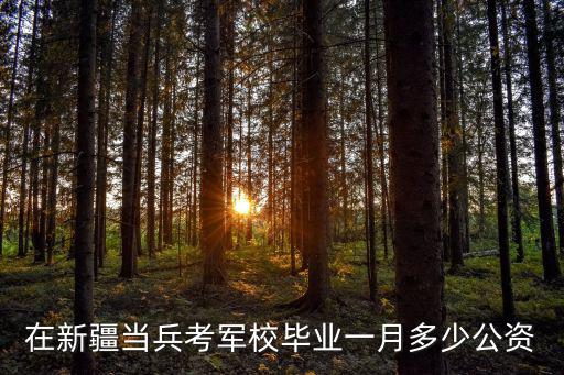 在新疆當兵考軍校畢業一月多少公資