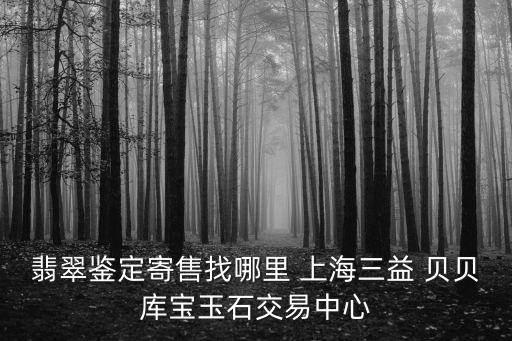 翡翠鑒定寄售找哪里 上海三益 貝貝庫寶玉石交易中心