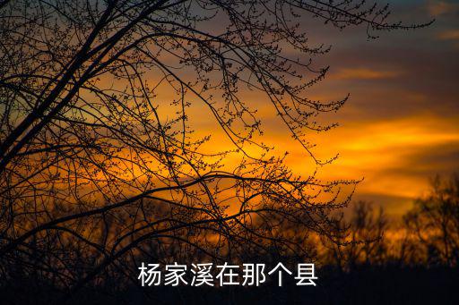 楊家溪在那個縣