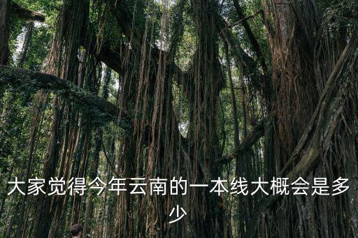 今年一本分數(shù)線，大家覺得今年云南的一本線大概會是多少