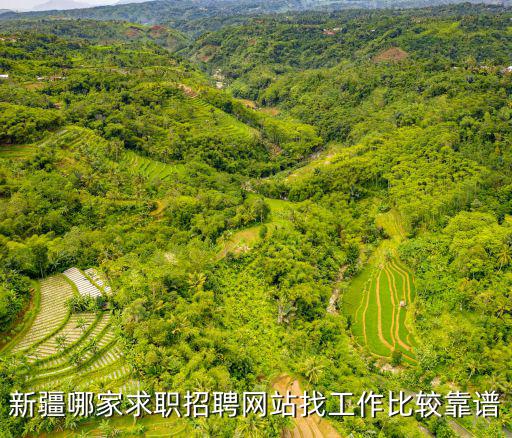 新疆哪家求職招聘網站找工作比較靠譜