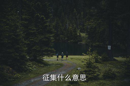 征集什么意思