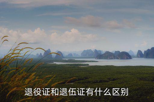退伍證，軍人退伍證有什么用呢軍人退伍證有什么用處嗎