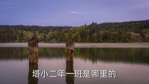 塔小二年一班是哪里的