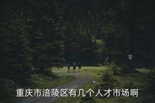 重慶市涪陵區有幾個人才市場啊