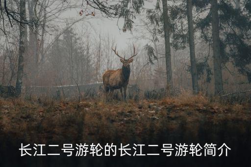 長江二號游輪的長江二號游輪簡介