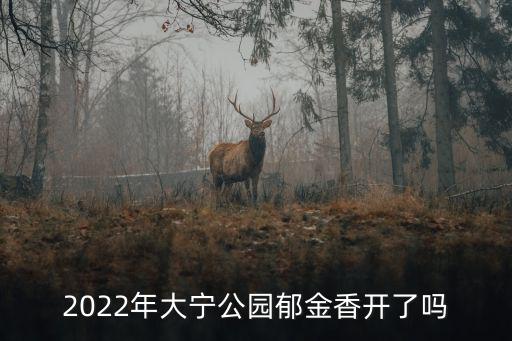 2022年大寧公園郁金香開(kāi)了嗎