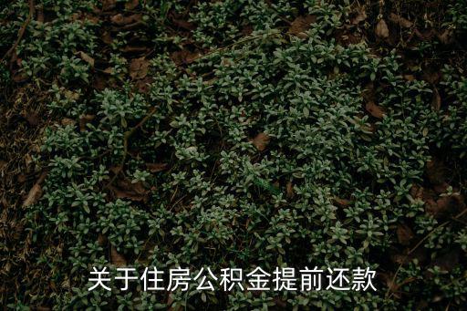公積金提前還款，個(gè)人住房公積金能提前還款嗎