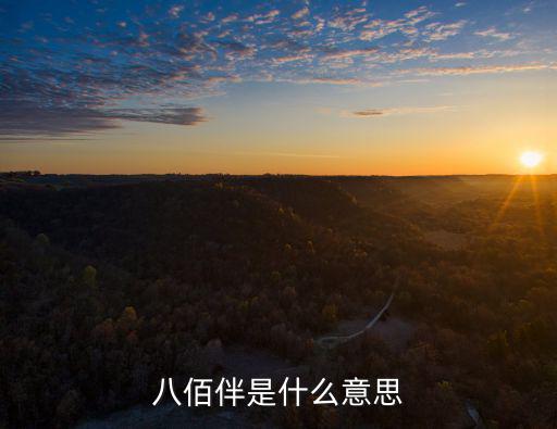 八佰伴是什么意思
