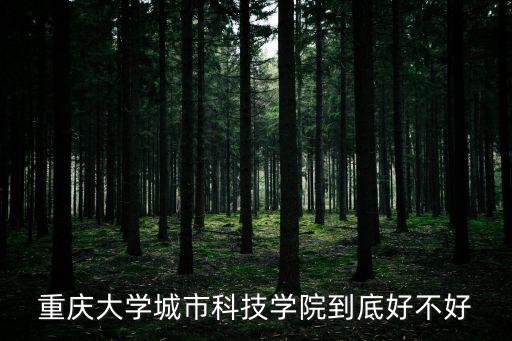 重慶大學城市科技學院到底好不好