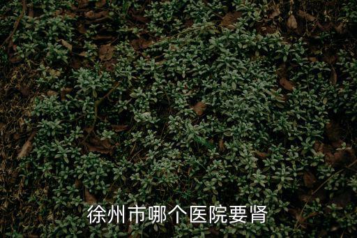 徐州市哪個醫(yī)院要腎