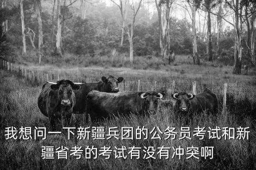 新疆省考，我想問一下新疆兵團的公務員考試和新疆省考的考試有沒有沖突啊