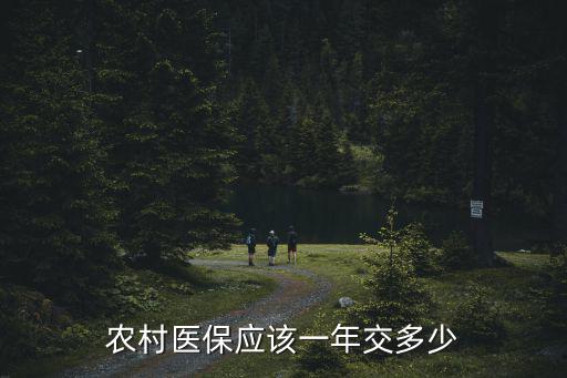 農村醫(yī)保應該一年交多少