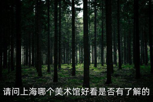 請問上海哪個美術館好看是否有了解的