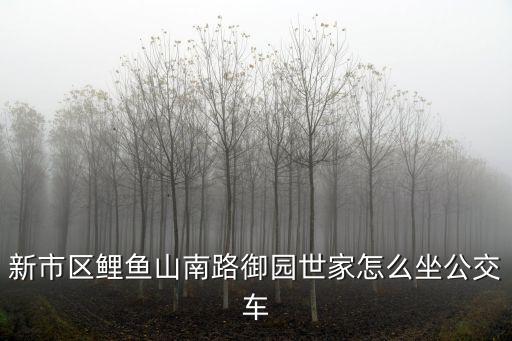 新市區(qū)鯉魚山南路御園世家怎么坐公交車