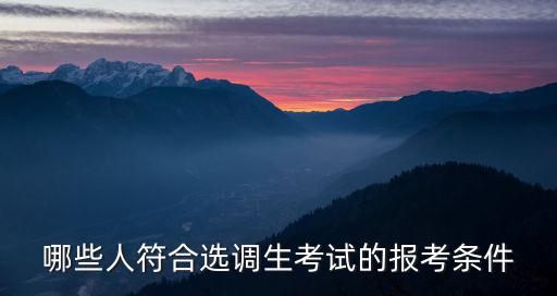 哪些人符合選調生考試的報考條件