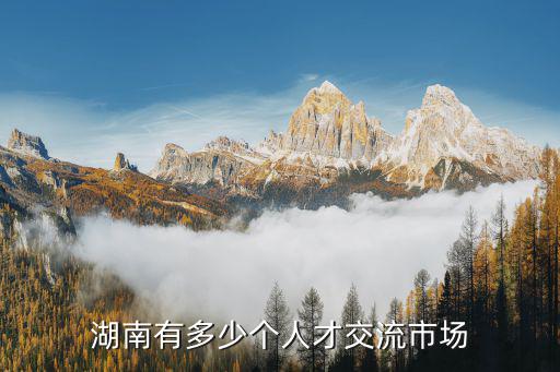中國湖南人才市場，湖南人才市場在哪